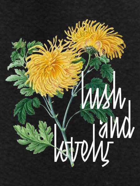 Lush and Lovely Chrysanthemums
