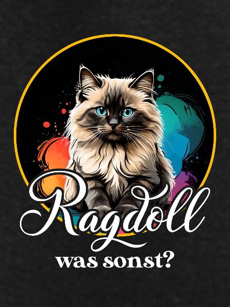 Ragdoll Cat