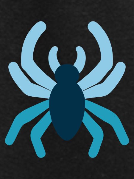 spider