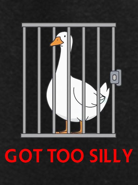 Goose – Got Too Silly