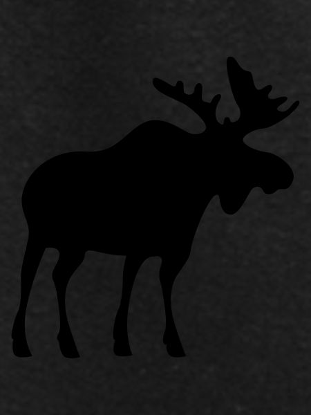 moose
