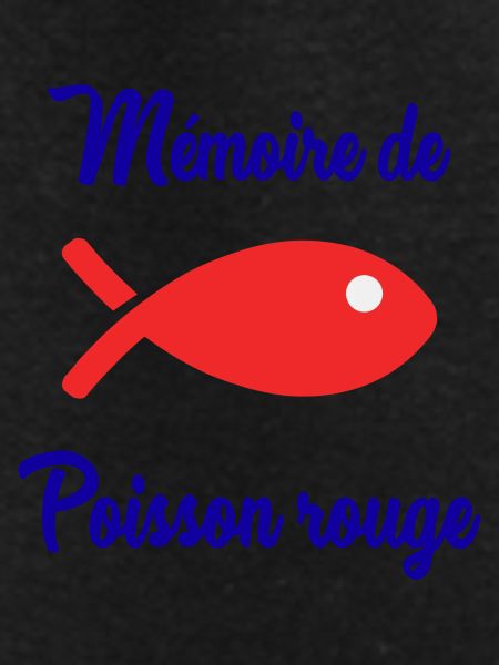 GOLDFISH MEMORY