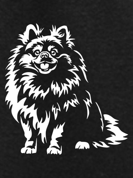 Pomeranian "Black Edition"