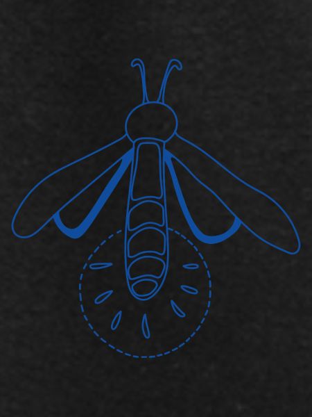 Firefly