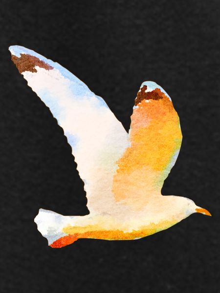 gull