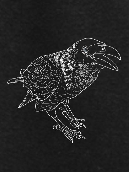 Crow lineart