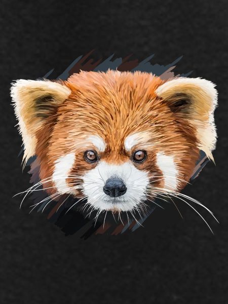 Red panda