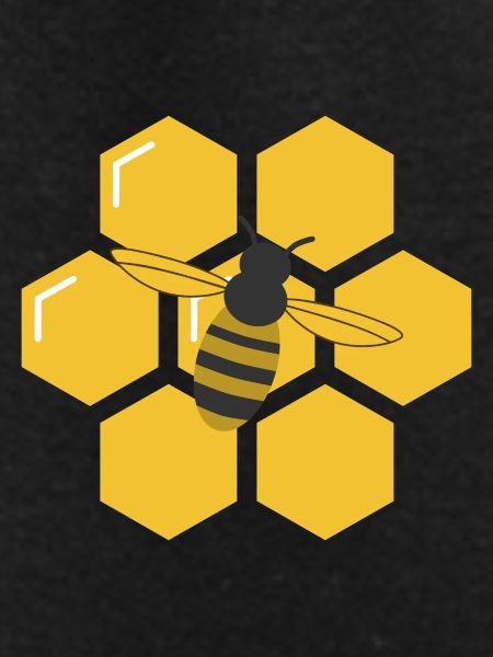 Bee and Honeycomb