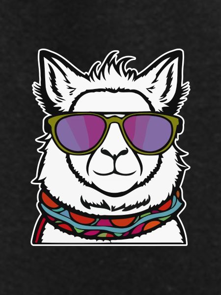 Cool Llama