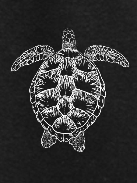 Turtle white2