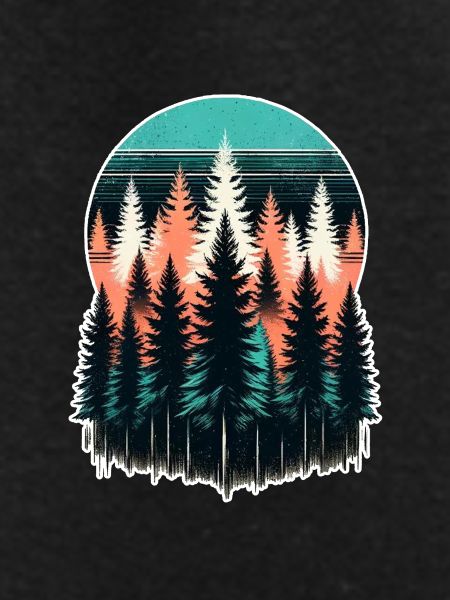 Forest Light Sunset