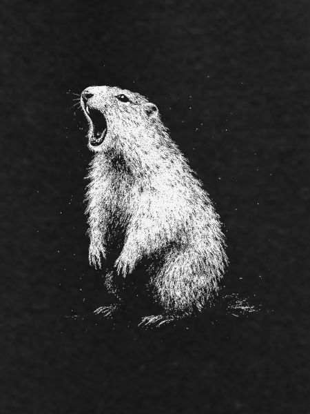 Marmot
