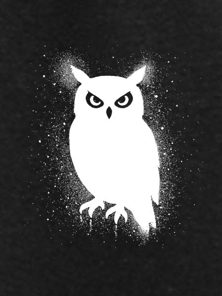 Funny Owl