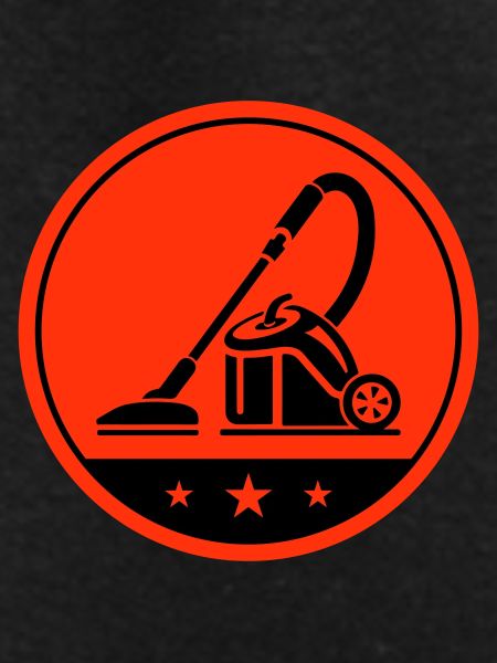 Cleaning vacuum cleaners