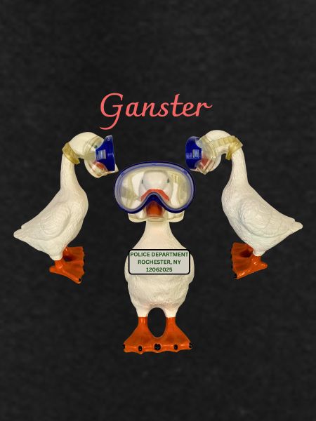 Ganster Goose Arrested