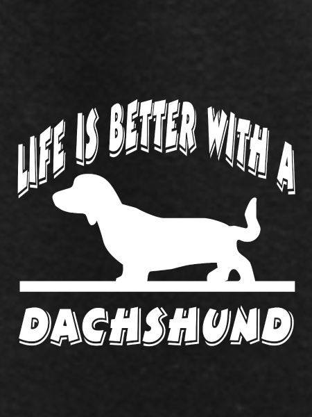 Dachshund
