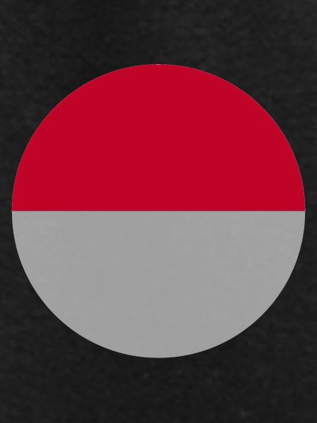 Indonesian flag