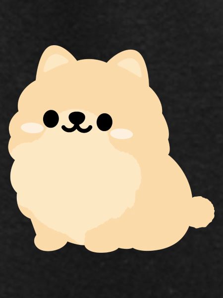 Pastel Pomeranian Pup