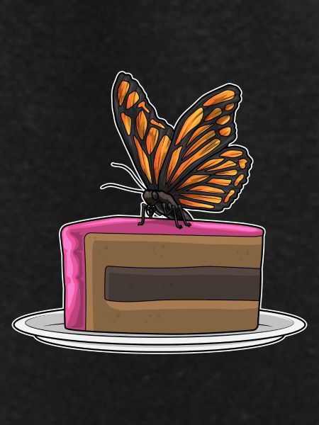 Butterfly Cake