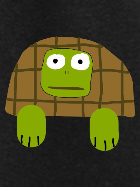 Ugly Turtle