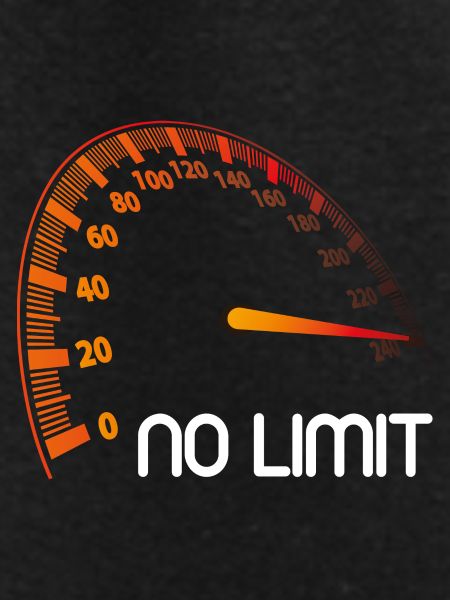 Speedometer - No Limit