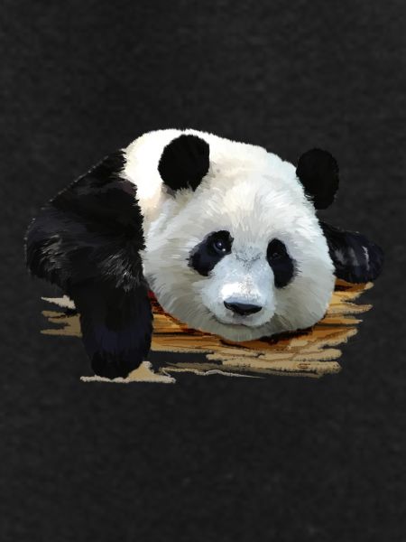 panda