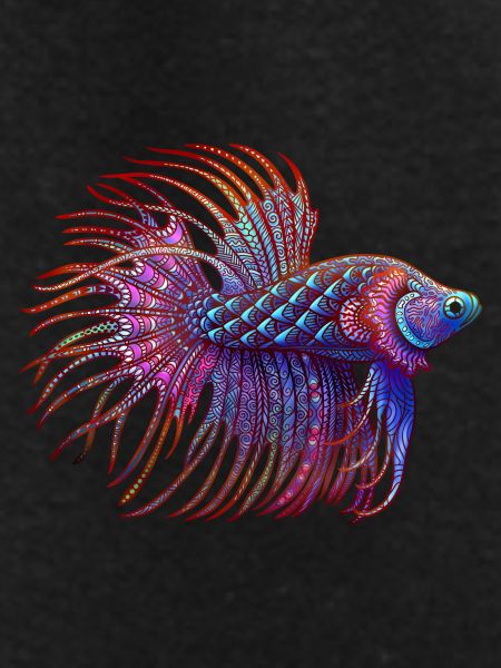Betta Zentangle colour