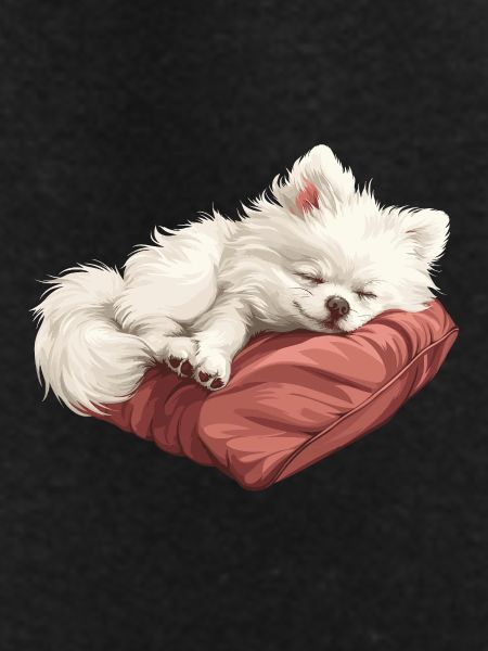 Sleeping Spitz puppy