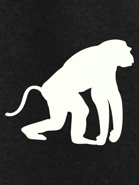 Monkey Silhouette