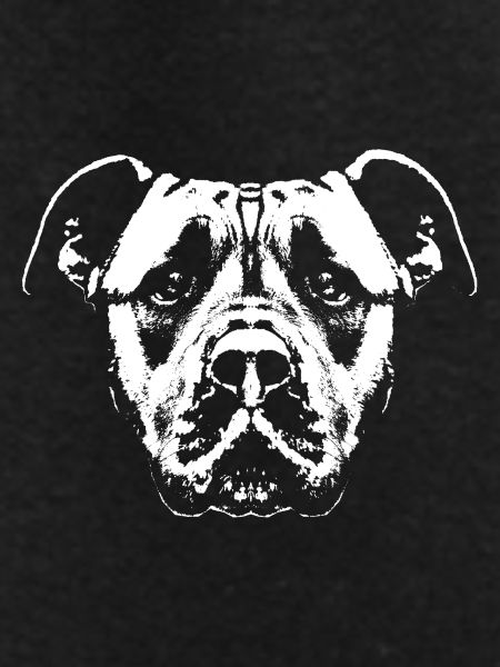 Dog / Head / White / Faithful