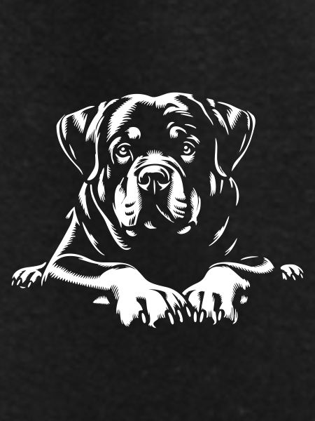 Rottweiler "Black Edition"