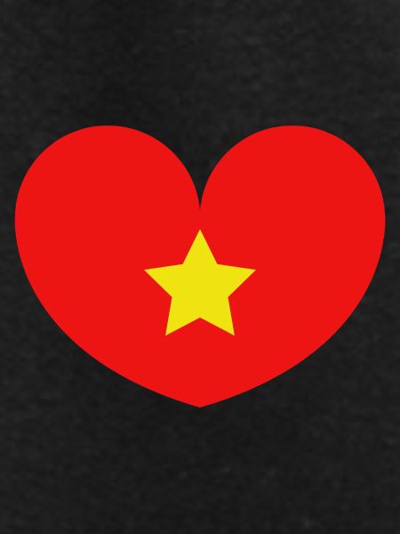 Vietnam flag