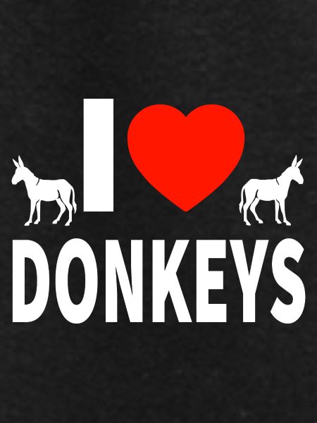 donkey