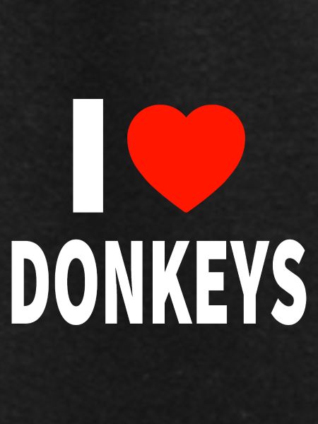 donkey