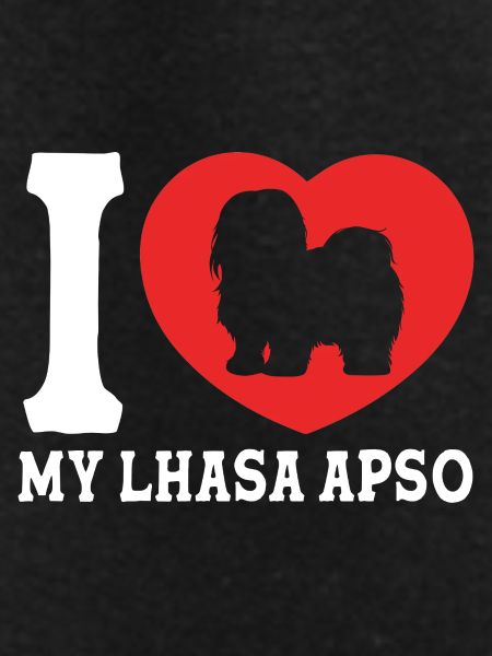 Lhasa Apso Dog