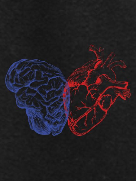 Brain and heart