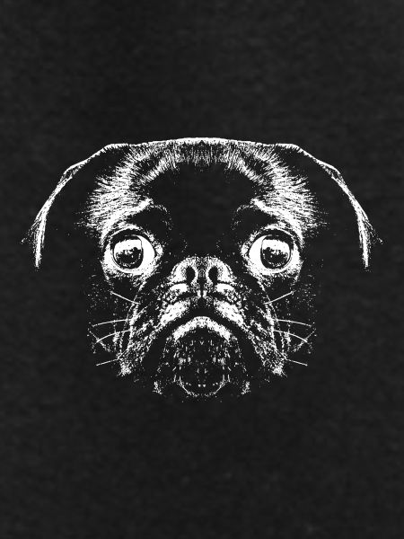 Pug / Face / Head