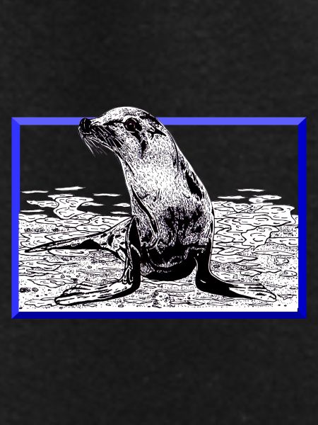 Seal