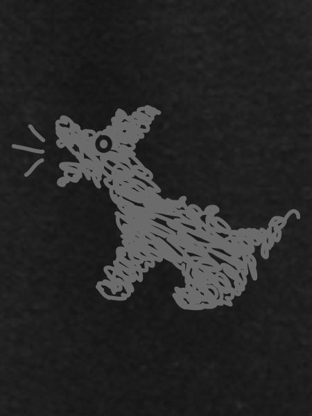 Funny barking dog