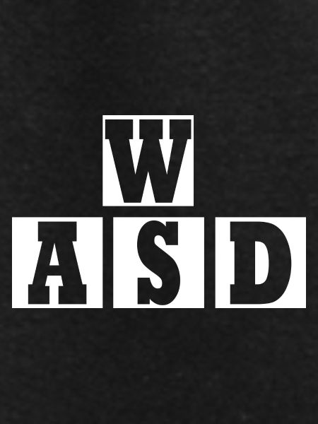 W A S D
