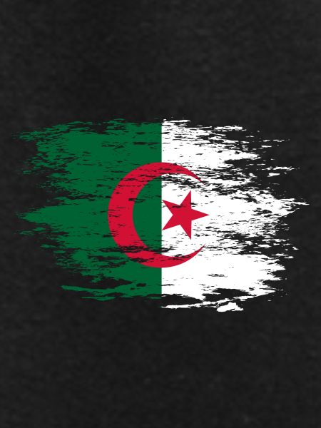 Algeria flag used