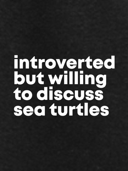 Sea Turtle Sea Turtle Sea Turtle