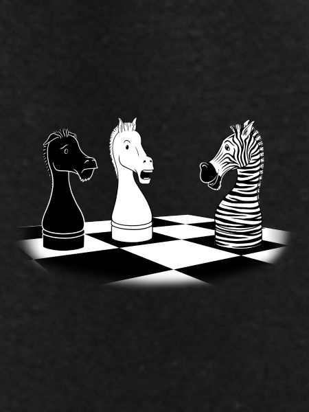 Zebra Knight