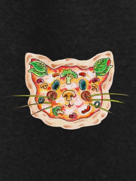Pizza Cat