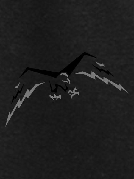Flying Hawk