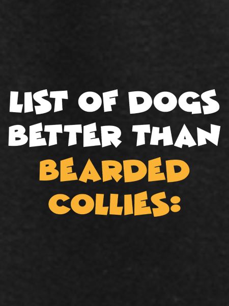 Bearded Collie