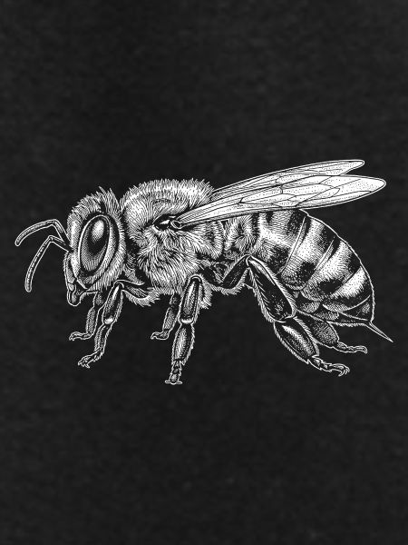 honeybee