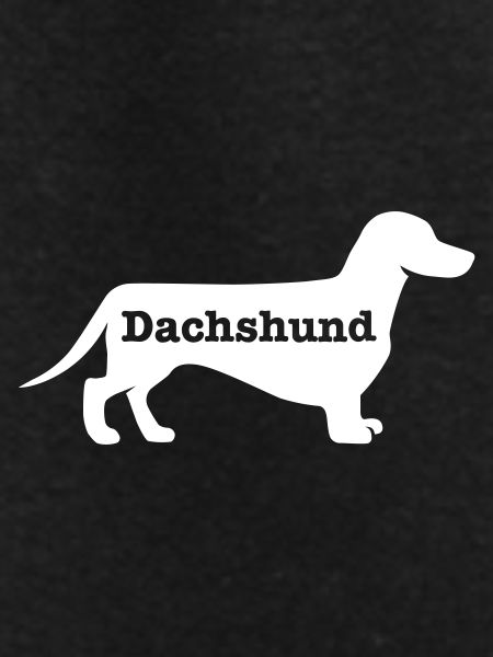 Dachshund