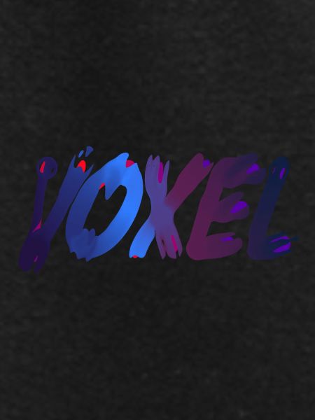 Voxels