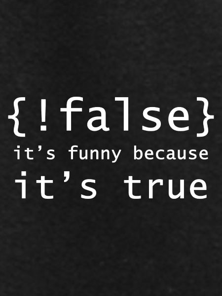 Boolean Pun: It's True